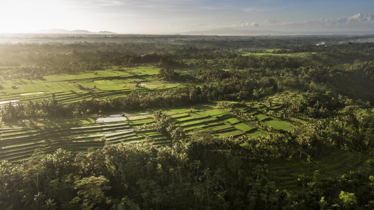 Como Shambhala Estate Payangan Eksteriør billede