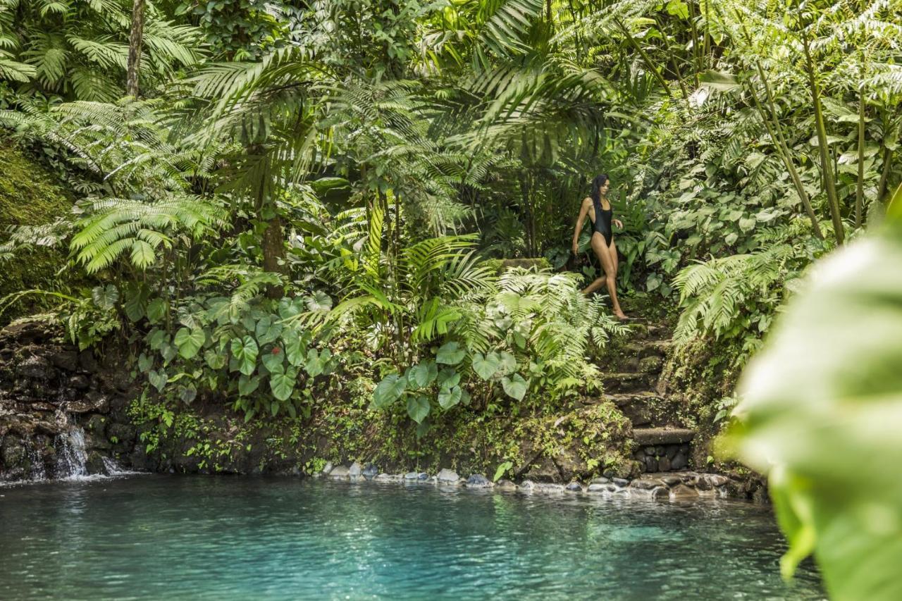 Como Shambhala Estate Payangan Eksteriør billede